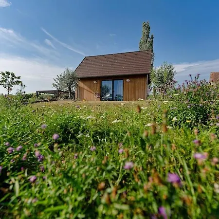 Luxus Kellerstoeckl Mit Privatem Hot Tub Dağ evi Straden